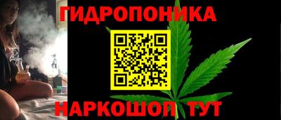 прущие крисы Славгород