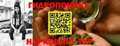 прущие крисы Славгород