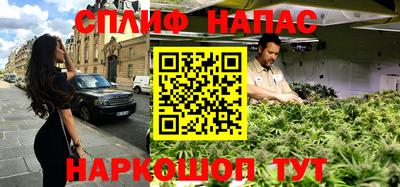 прущие крисы Славгород